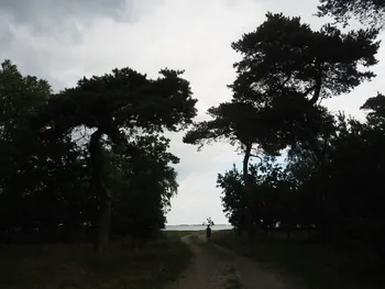 Halshuisene + Enebaerodde Beach (Denemarken)